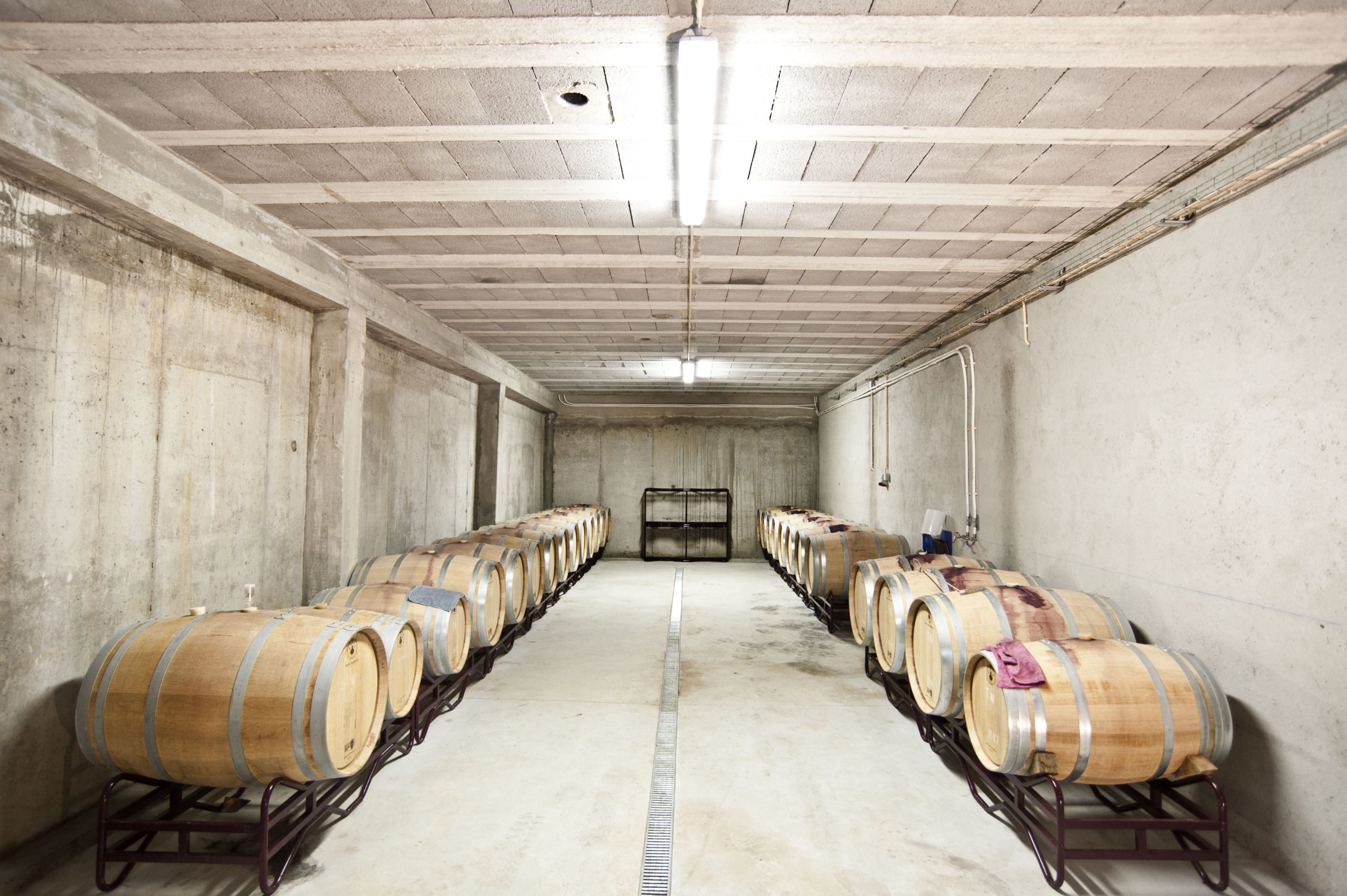Northern Pathways curated travel experiences in Northern Portugal
